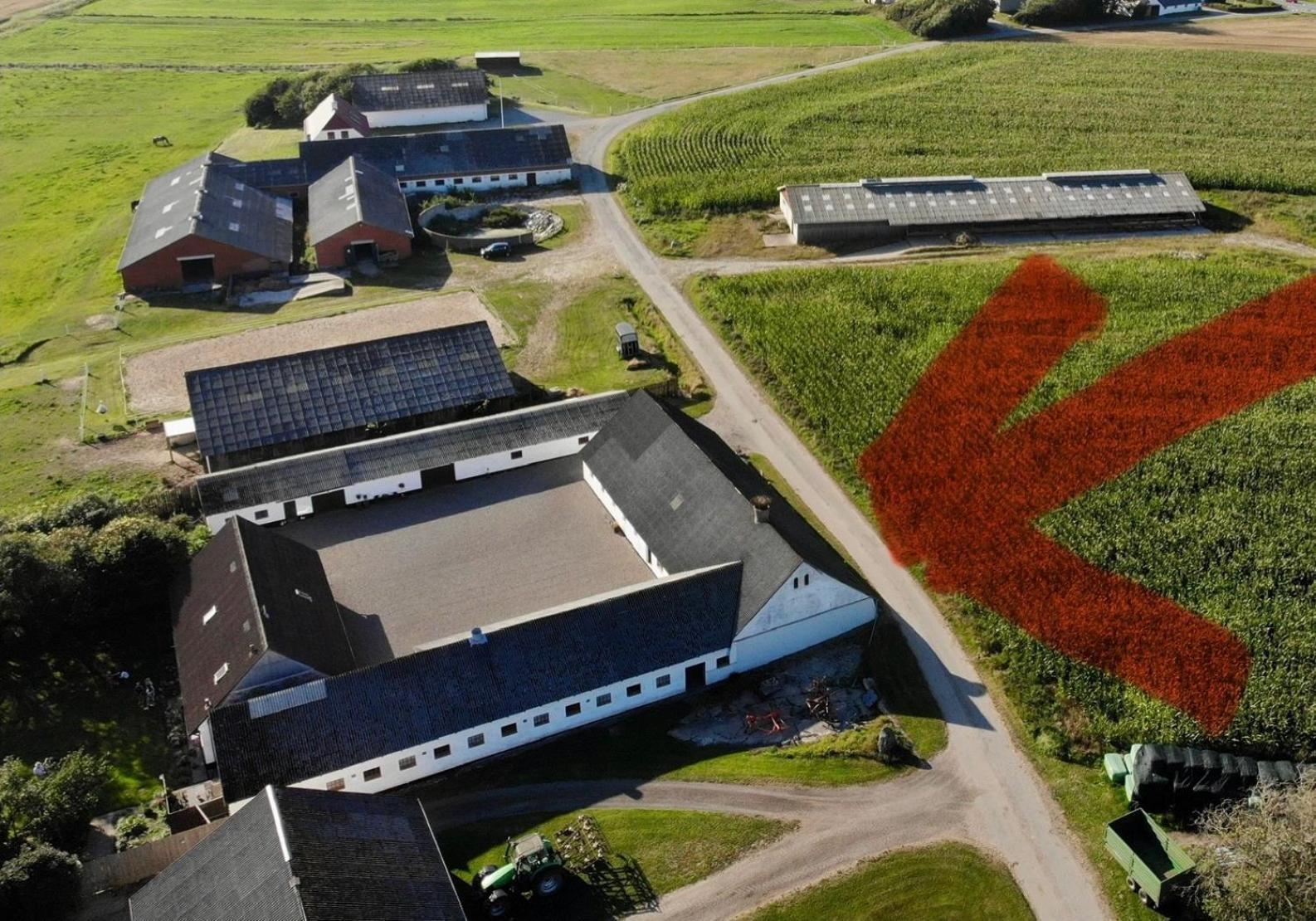 Lokken Farm Holiday Екстер'єр фото