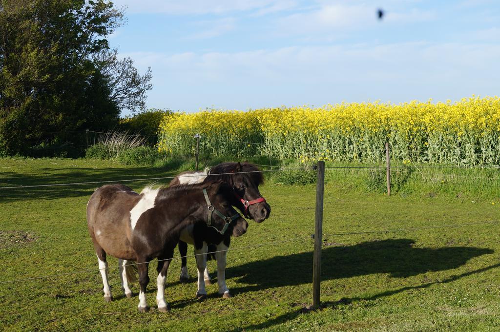 Lokken Farm Holiday Номер фото