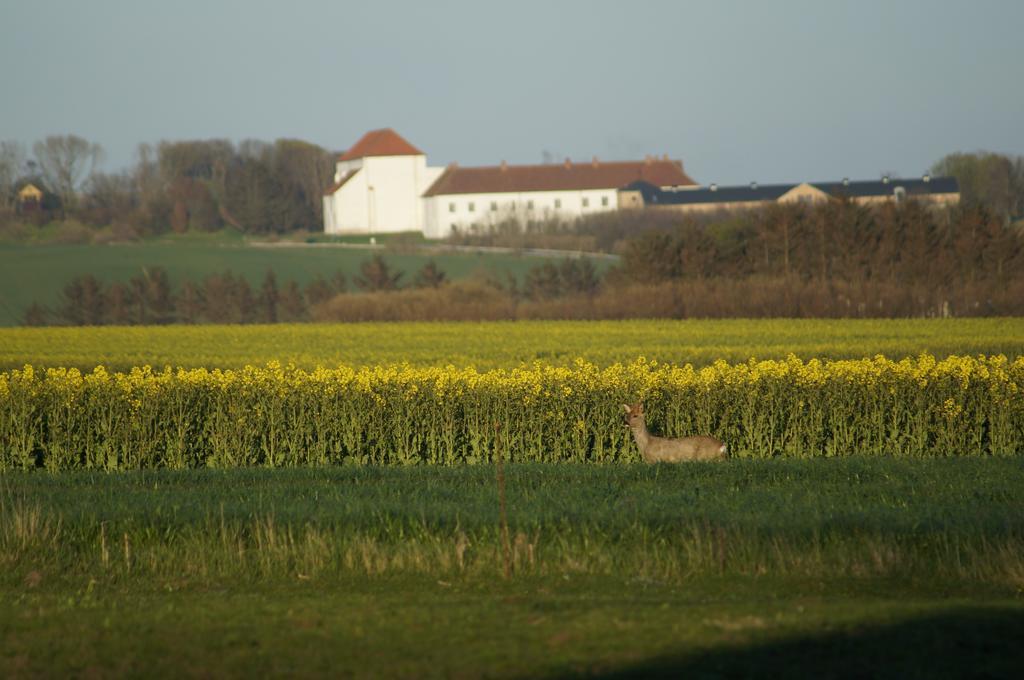 Lokken Farm Holiday Номер фото