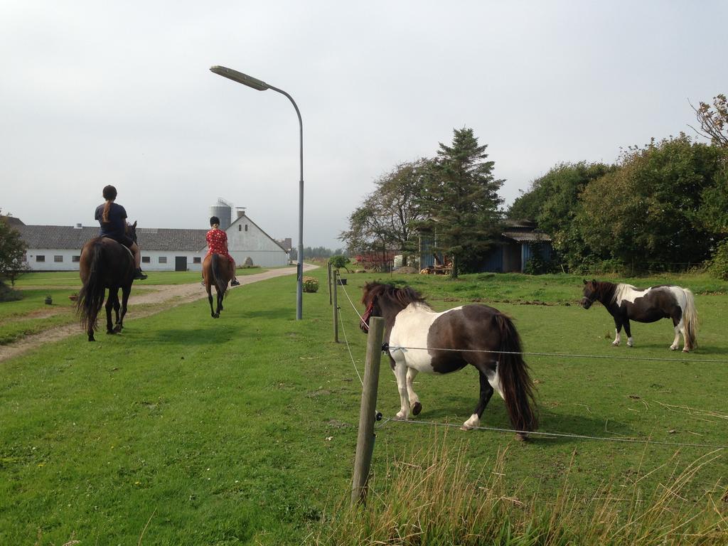 Lokken Farm Holiday Екстер'єр фото